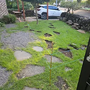 퐁낭에염 제주